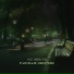 VOLT VISION, GTM