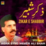 Agha Syed Meher Ali Shah