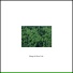 Slow Life Music Laboratory