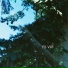 m.vol