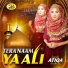 Syeda Atiqa Ashraf