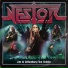 Nestor