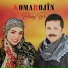 Koma Rojîn
