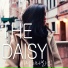 The Daisy (더 데이지)