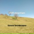 Serene Soundscapes