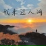你家七哥ya