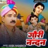 Vivek Vashishth