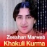 Zeeshan Marwat