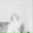 EE9