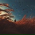 FYVO