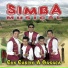 Simba Musical
