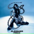 Fleisher