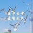 pogorecords