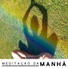 Meditação Música Ambiente