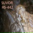 Suvor