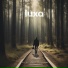 Luxa