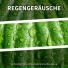 Fips Munzer, Regengeräusche, Entspannungsmusik