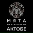 Мята Platinum Актобе