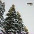 Юкка
