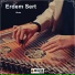 Erdem Sert