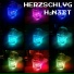 HERZSCHLVG