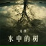 朱樱