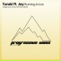Tonski feat. Jay
