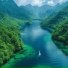 为政