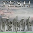 TESH