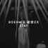 Boehm, 政学Zx