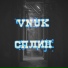 Vnuk
