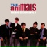 The Animals