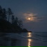 NOCTAARA