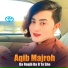Aqib Majroh