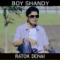 Boy Shandy
