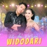 Rina Aditama feat. Masdddho