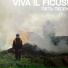 Viva il ficus!