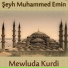 Şeyh Muhhamed Emin