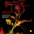 Acoustic Project