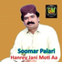 Soomar Palari