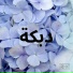 Fahed Sayed