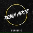 Robin Hirte
