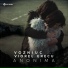 Vozniuc feat. Viorel Grecu