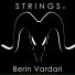 Berin Vardari