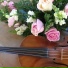 Flor Lasso
