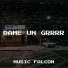 Music Falcon