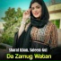 Sharaf Khan, Saleem Gul