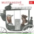 Mustangové