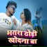 Krishna K Yadav