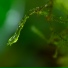 Rainforest, Sleepy Night Music, Kundalini: Yoga
